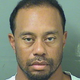 Illustration for article titled Arrest Records Describe Tiger Woods As Confused, Not Under Influence Of Alcohol